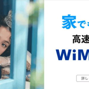 WiMAX+5G「3日間15GB超えの速度制限」は昔の話!? WiMAX2+の3日間10GB制限は？