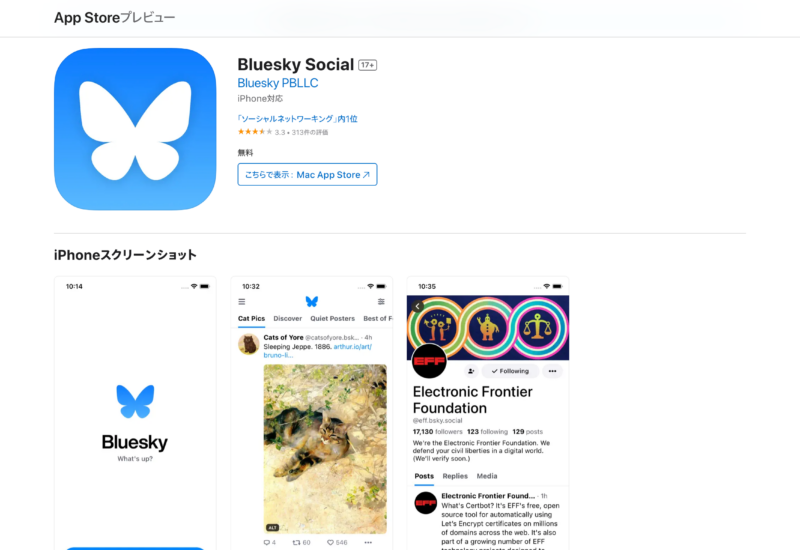 Bluesky Social