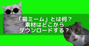 「猫ミーム」とは何？素材はどこから？作れるアプリはどれ？