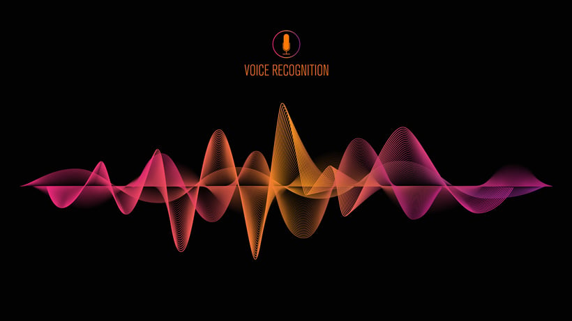 VOICE RECOGNITION