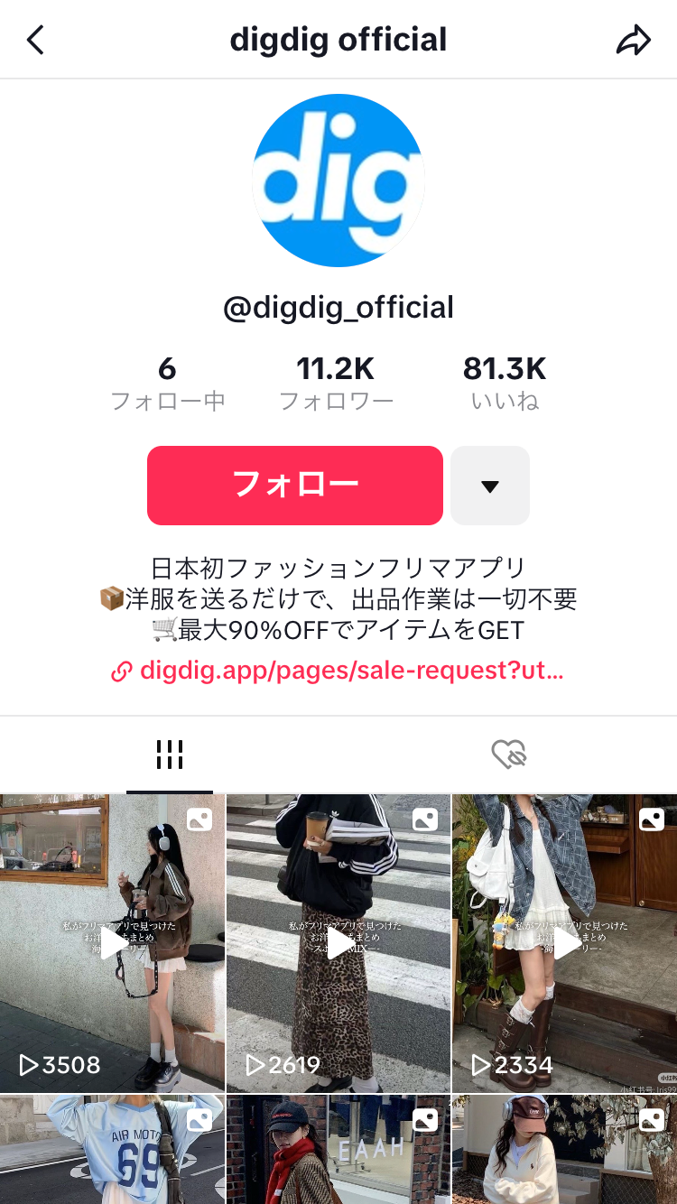 digdig tiktok