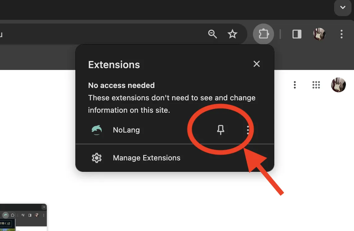 NoLang Pinning Google Chrome Extensions