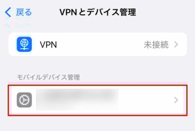 iOS VPNとデバイス管理 選択