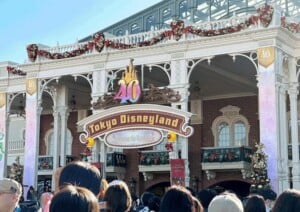 東京ディズニーランドのフリーWi-Fiの接続方法（Park_Entrance_Free_Wi-Fi）