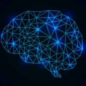 SQ(社会性の知能指数)とは？IQ・EQとの違い。SQが高い人の特徴
