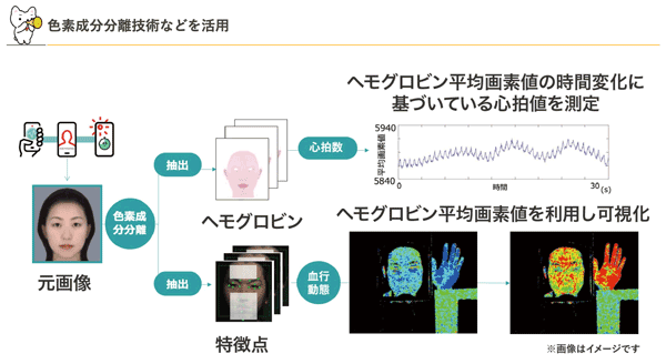 カルテコ ヘモグロビン 心拍 測定