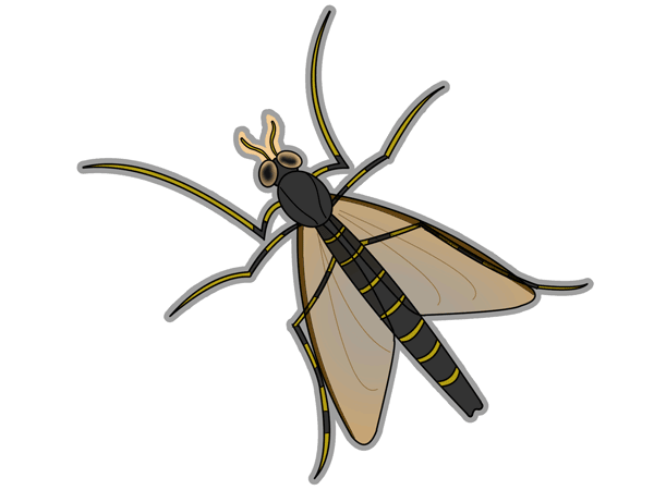 ユスリカのイラスト