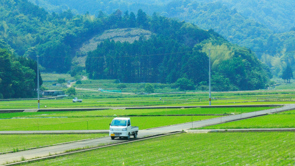 田舎風景