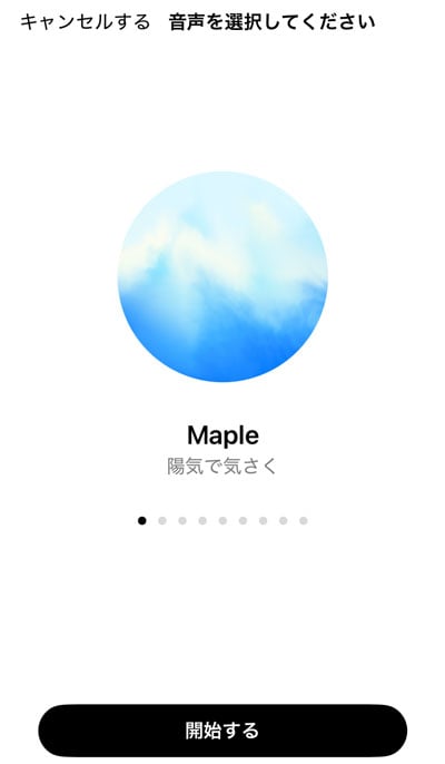 チャッピー 音声選択