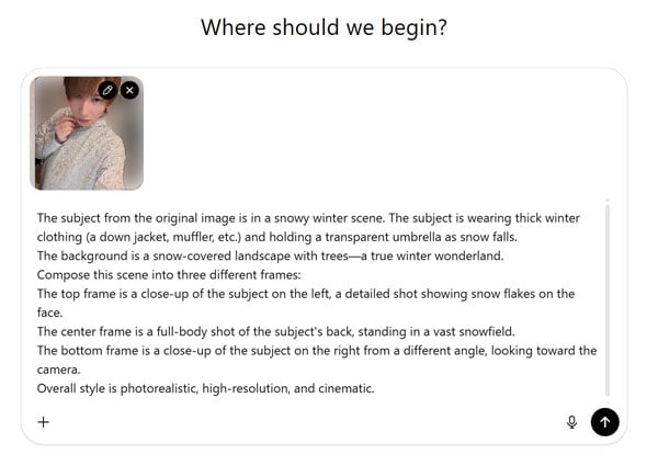 ChatGPT input prompt