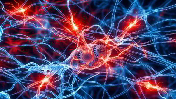 怒りが脳を「麻痺」させるイメージ