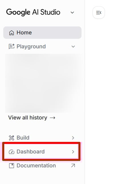 Google AI Studio Dashboard