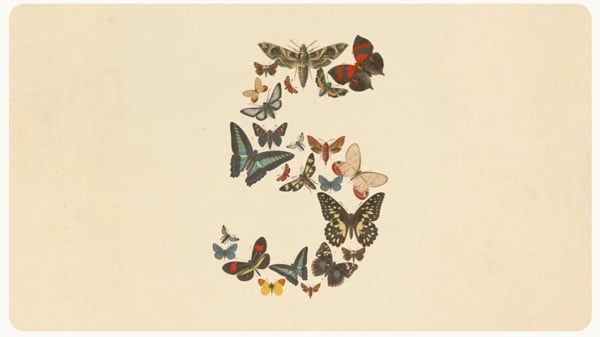 Claude Fable 5