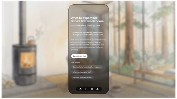 Google Dreambeans 起動画面