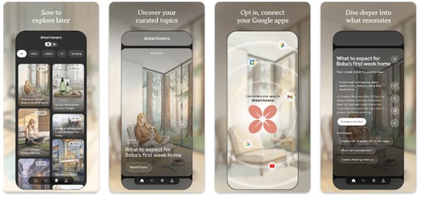 Google Dreambeansキャプチャ