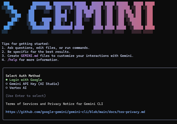 Gemini CLI ログイン選択