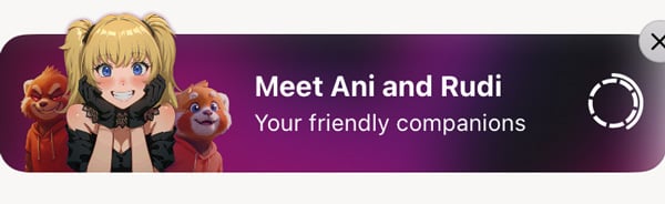 Grok Meet Ani and Rudi