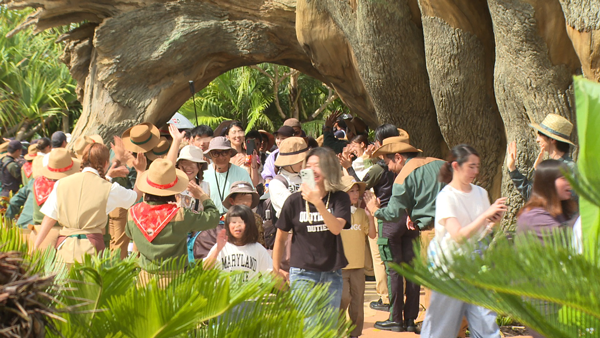 ジャングリア沖縄 園内