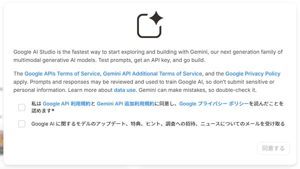 Google AI Studio 同意画面