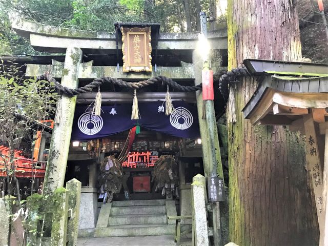 이나리야마 Inariyama summit kyoto