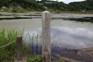 Midoro-ga-ike Pond kyoto 深泥池 京都
