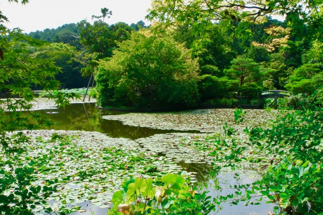 ryouanji temple kyoto