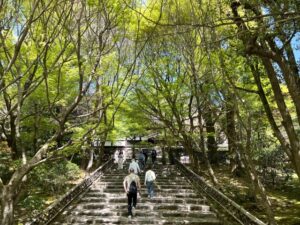 瀧安寺 京都 ryouanji temple kyoto