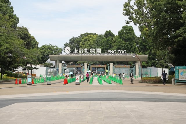 우에노 동물원 Ueno zoo