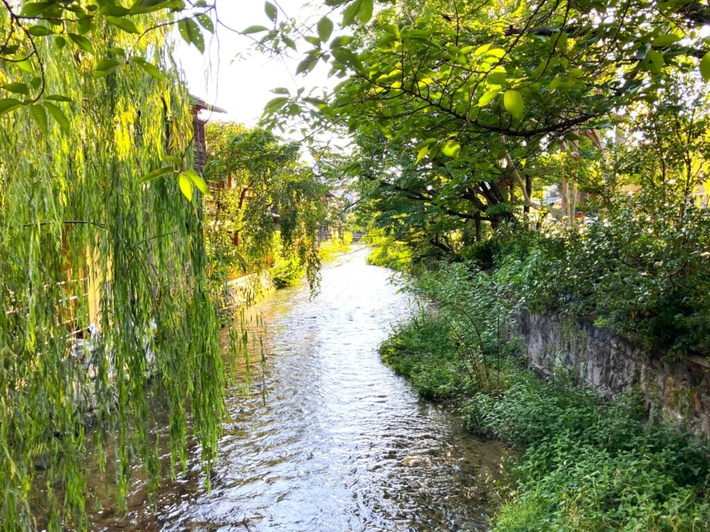 Gion Shirakawa 祇園白川