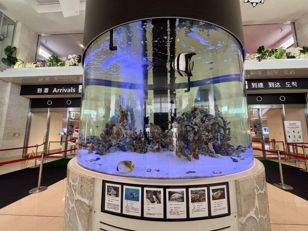 南ぬ島石垣空港 新石垣空港 水槽 new ishigaki airport aquarium