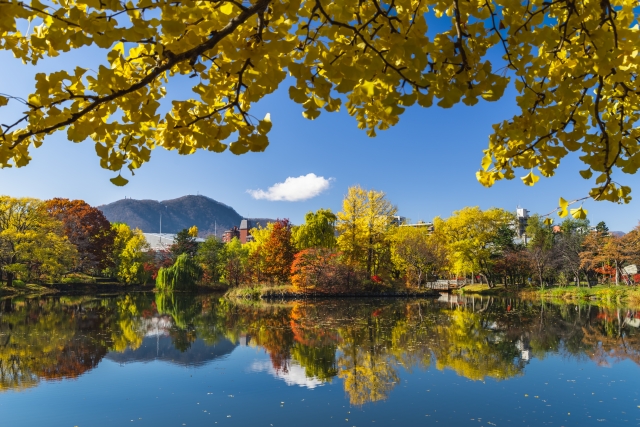 NAKAJIMA PARK SAPPORO 나카지마 공원 삿포로 삿포로 시