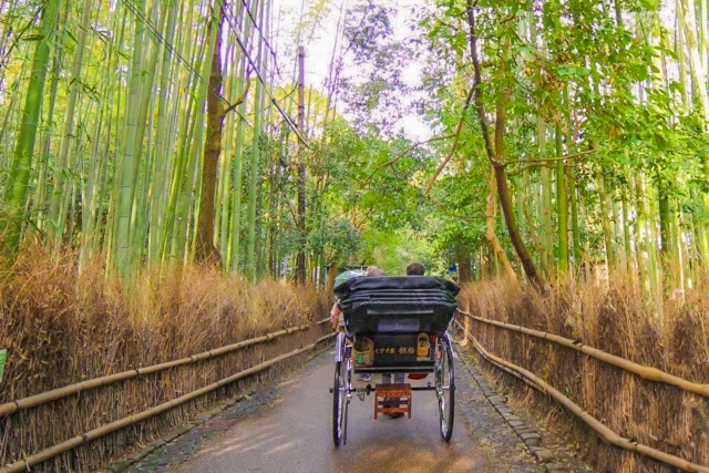 京都 嵐山 竹林 人力車 Kyoto arashiyama bamboo forest rickshaw