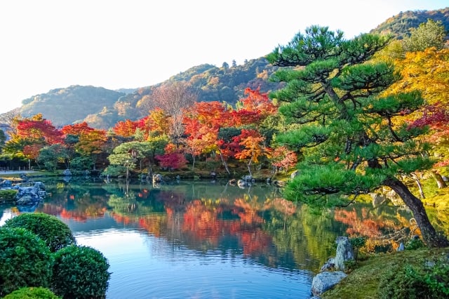 Tenryuji Temple