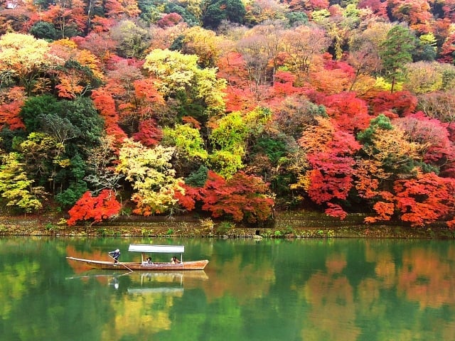 arashiyama autumn leaves