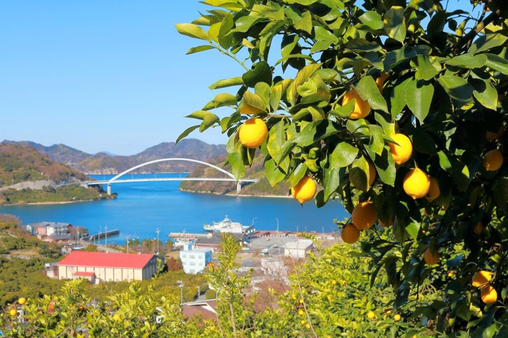 瀬戸内地方の景色