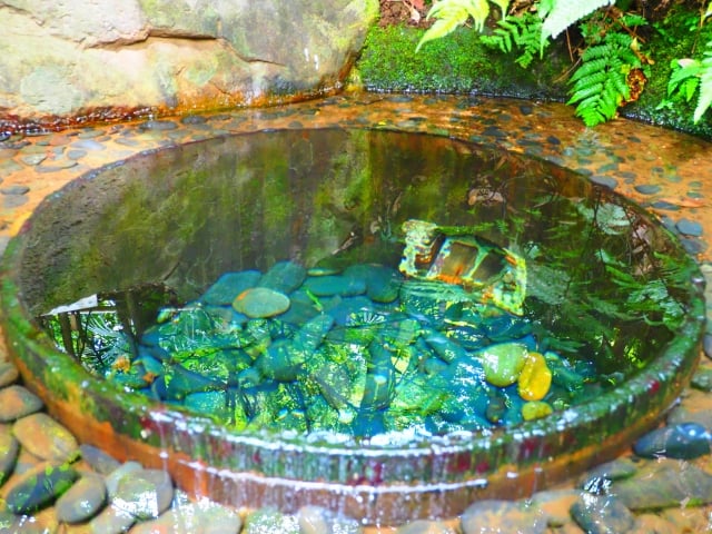 清正井 Kiyomasa' Well at Meiji Jingu