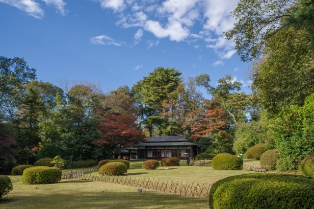 明治神宮御苑 Title Meiji Jingu Inner Garden