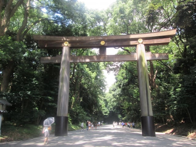 Meiji Shrine Otorii 明治神宮 大鳥居