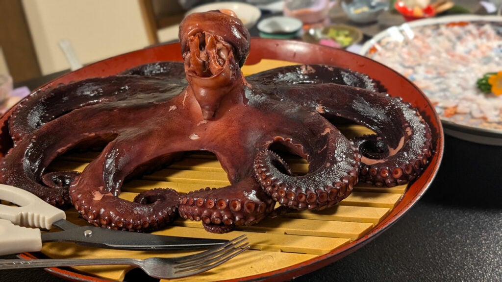 shinojima_dinner_octpus shinojima_dinner_octopus