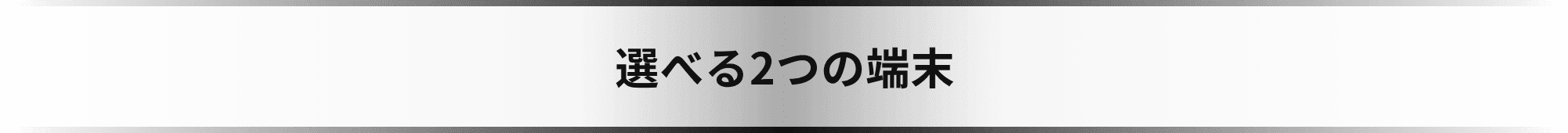 選べる2つの端末