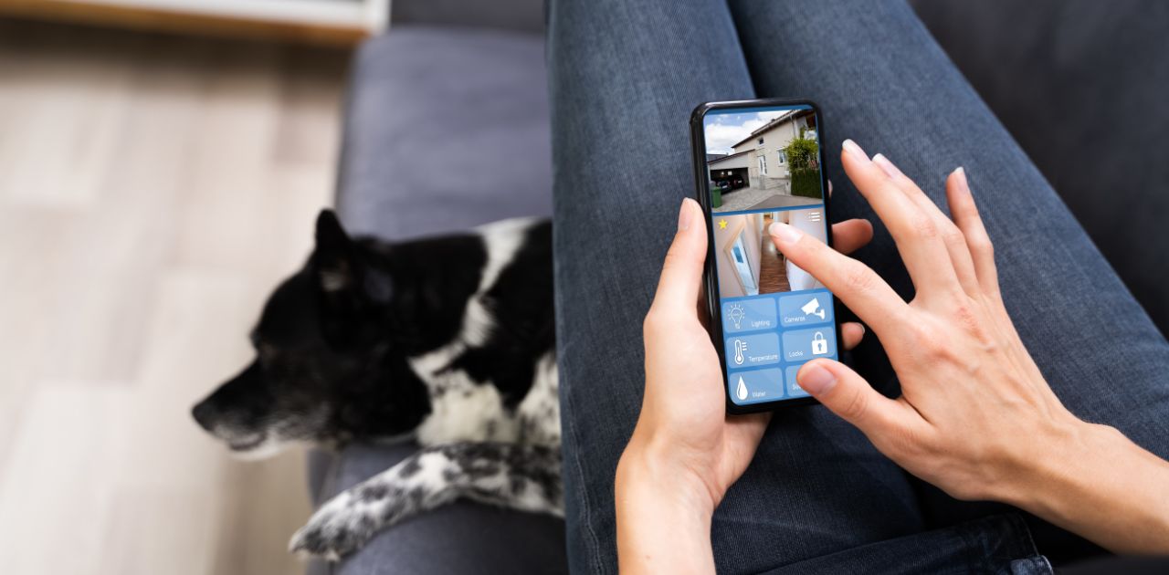 スマートフォンでペットカメラを操作している様子